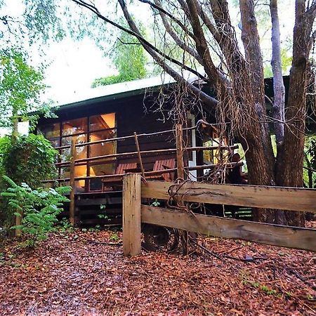 Black Cockatoo Lodge Nannup Εξωτερικό φωτογραφία