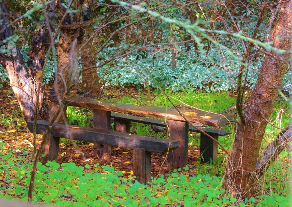 Black Cockatoo Lodge Nannup Εξωτερικό φωτογραφία