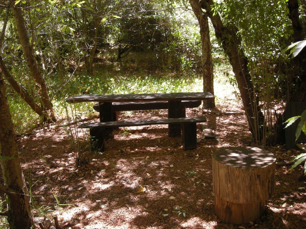 Black Cockatoo Lodge Nannup Εξωτερικό φωτογραφία