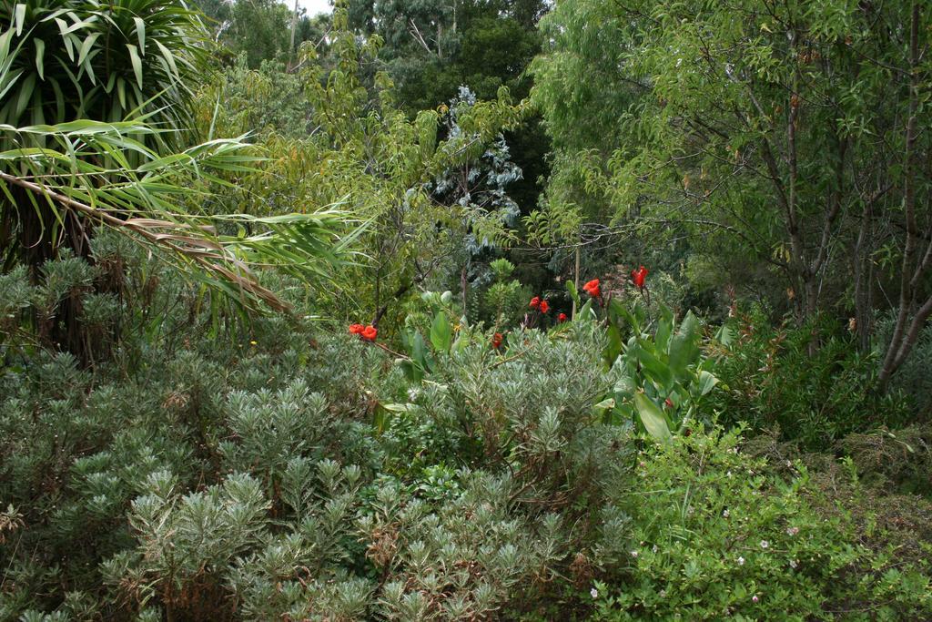 Black Cockatoo Lodge Nannup Εξωτερικό φωτογραφία