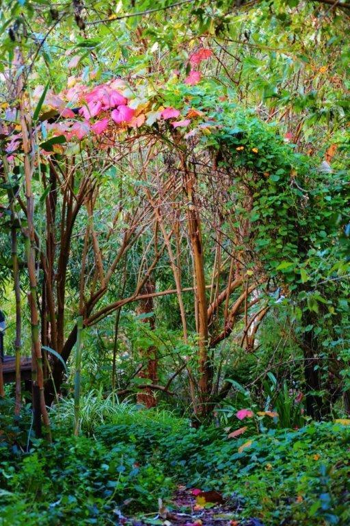 Black Cockatoo Lodge Nannup Εξωτερικό φωτογραφία