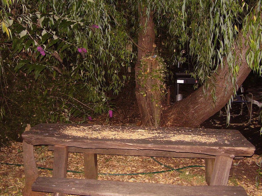 Black Cockatoo Lodge Nannup Εξωτερικό φωτογραφία