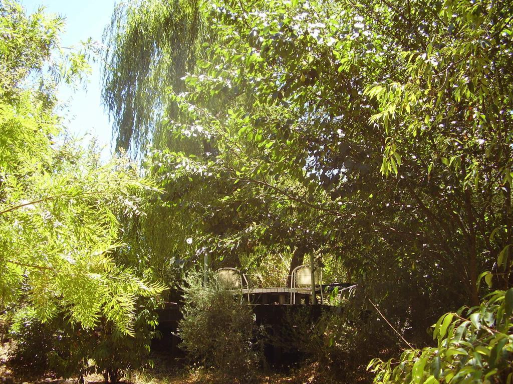 Black Cockatoo Lodge Nannup Εξωτερικό φωτογραφία