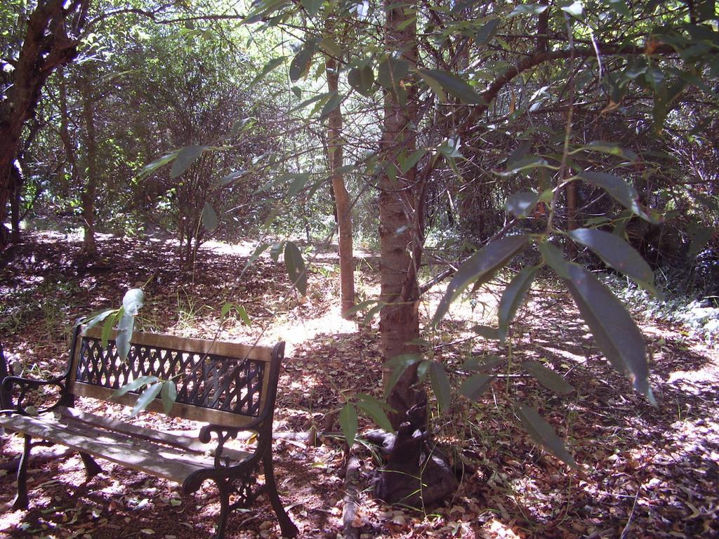 Black Cockatoo Lodge Nannup Εξωτερικό φωτογραφία
