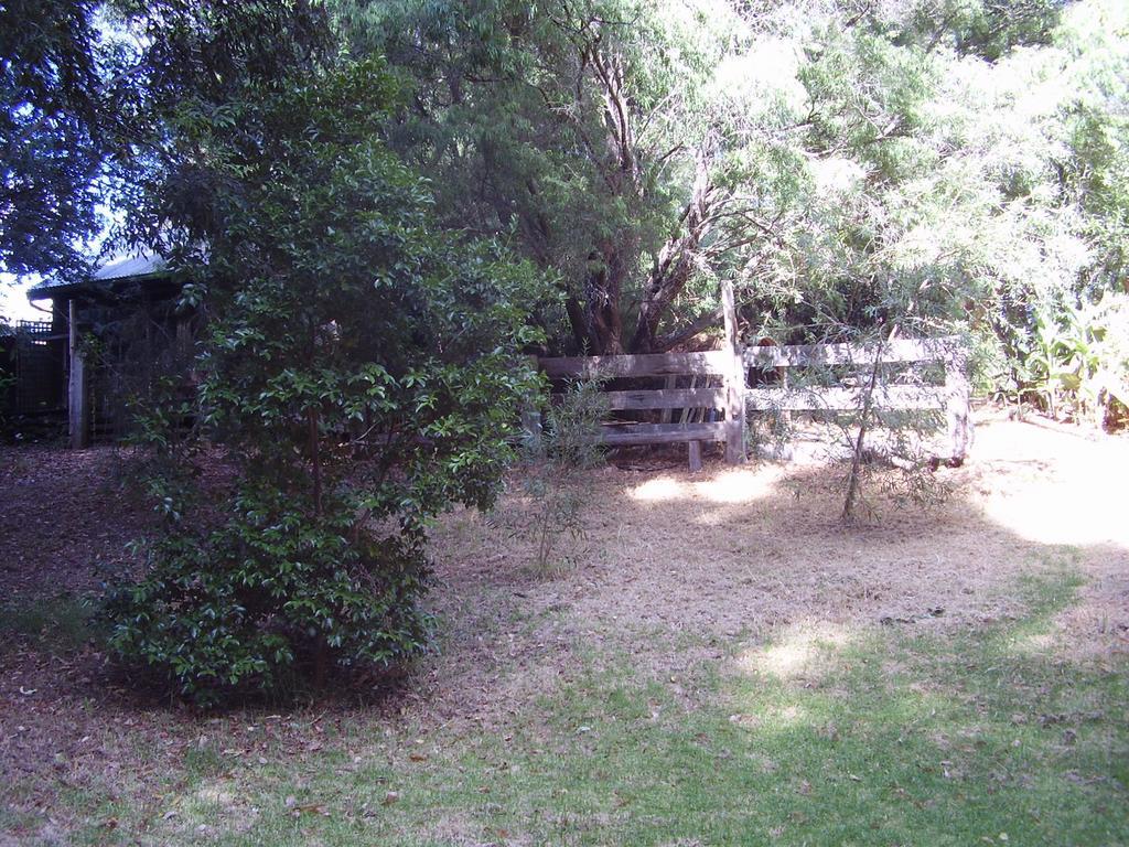 Black Cockatoo Lodge Nannup Εξωτερικό φωτογραφία