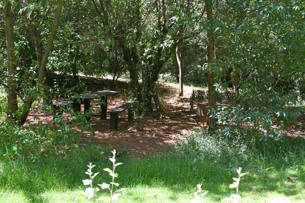 Black Cockatoo Lodge Nannup Εξωτερικό φωτογραφία