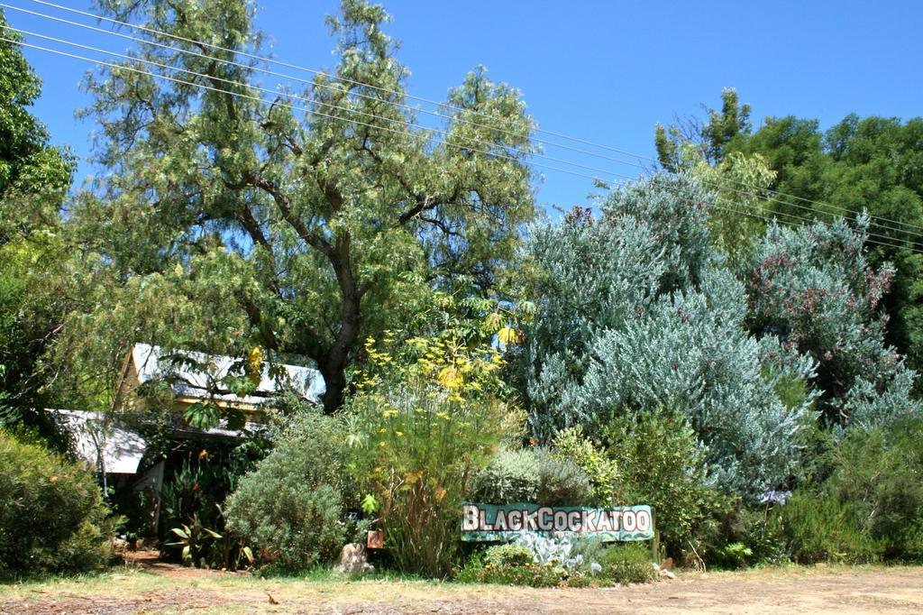 Black Cockatoo Lodge Nannup Εξωτερικό φωτογραφία