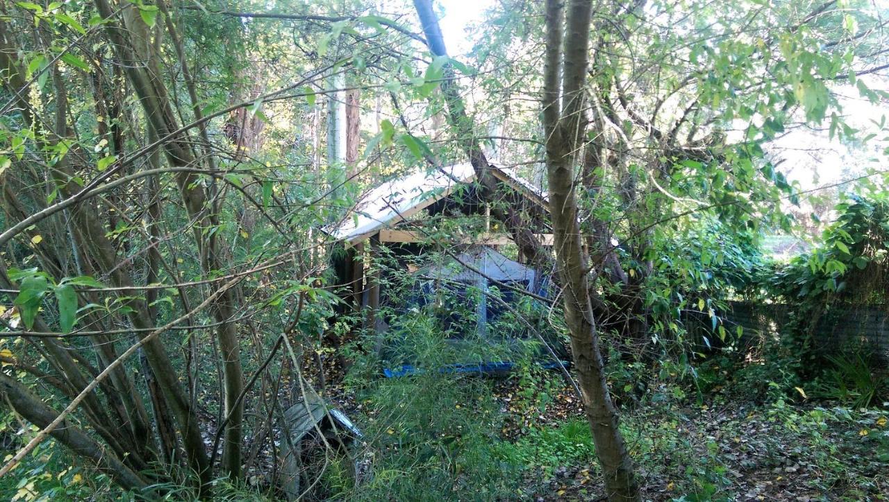 Black Cockatoo Lodge Nannup Εξωτερικό φωτογραφία