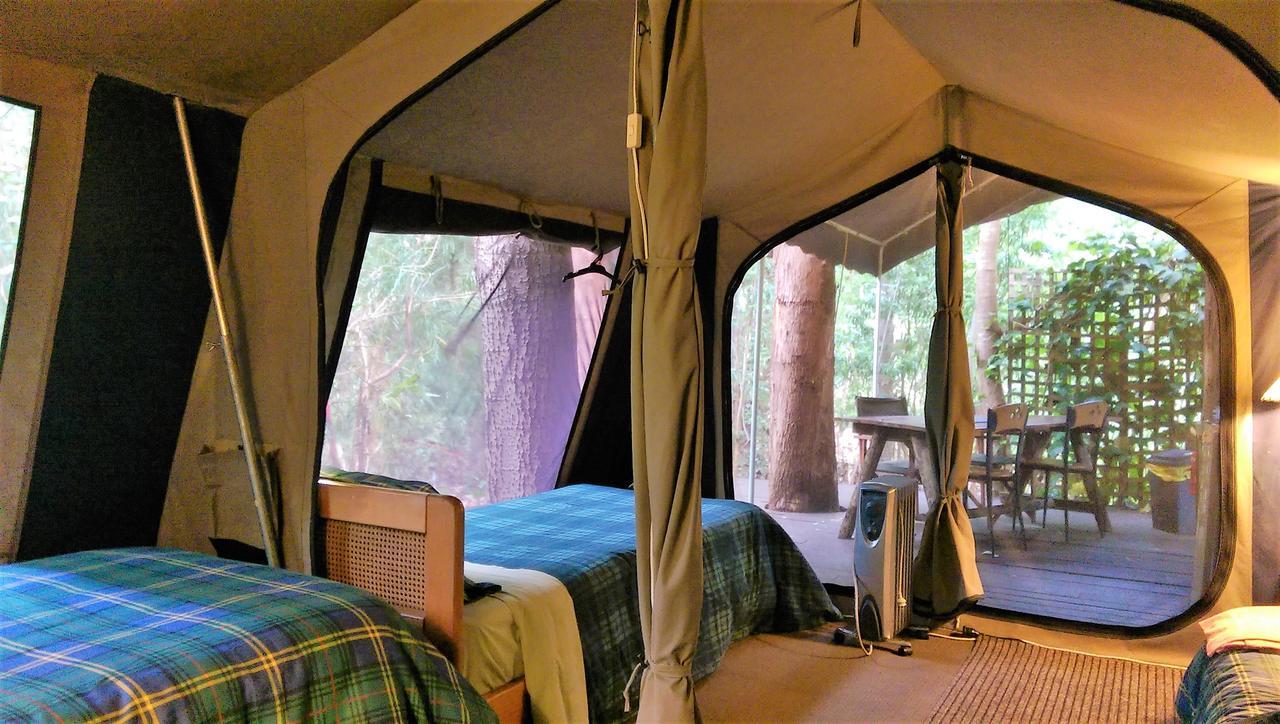 Black Cockatoo Lodge Nannup Εξωτερικό φωτογραφία